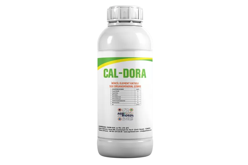 Cal - Dora