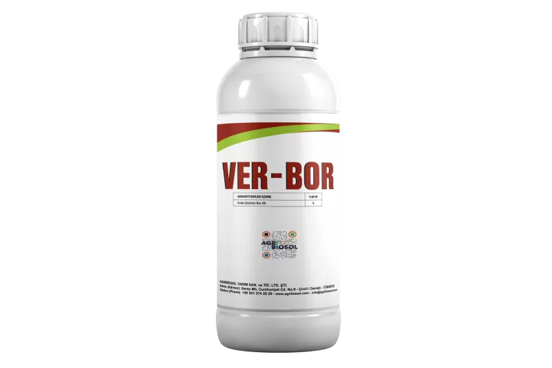 Ver - Bor