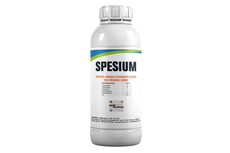 Spesium