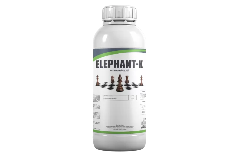 Elephant - K