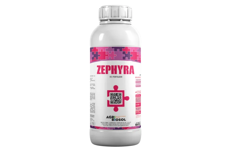Zephyra